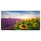 Designart - Lavender and Sunflower Fields - Floral Canvas Art Print